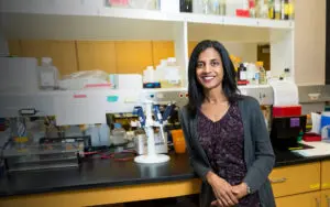 image of female researcher in a lab