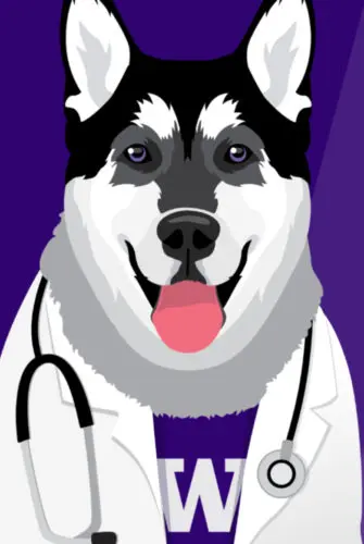 An illustration of UW Medicine's Dr. Dubs, sized for Instagram.