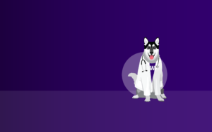 Illustration of Dr. Dubs (a husky dog wearing a lab coat and stethoscope) against a purple gradient background