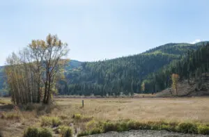 Rural western Montana.