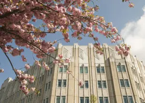 Harborview Medical Center, with cherry blossoms in the foreground.