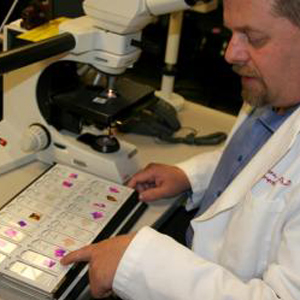 A UW Medicine researcher analyzing samples in a lab.