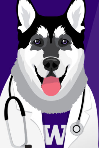 An illustration of UW Medicine's Dr. Dubs, sized for Instagram.