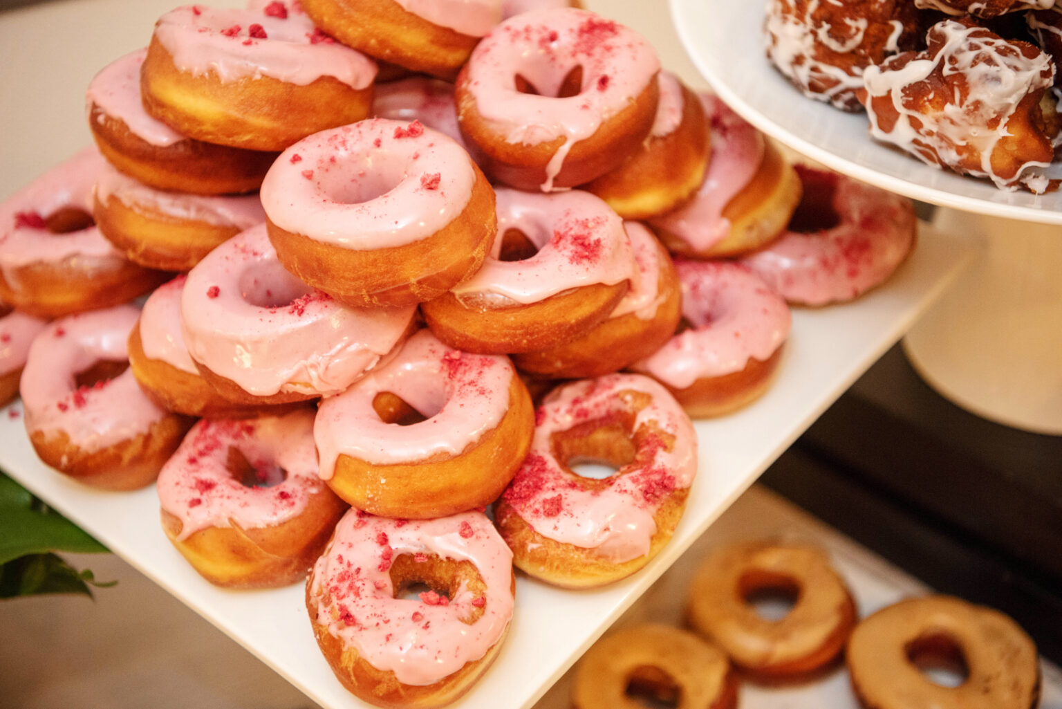 Spring Soiree 2024 UW Medicine Shortening the Distance to Healthier Lives