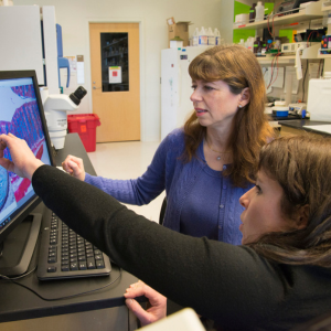 Dr. Karin Bornfeldt, left, and a colleague examine a cross-section image of a blood vessel that is partly blocked by an atherosclerotic lesion