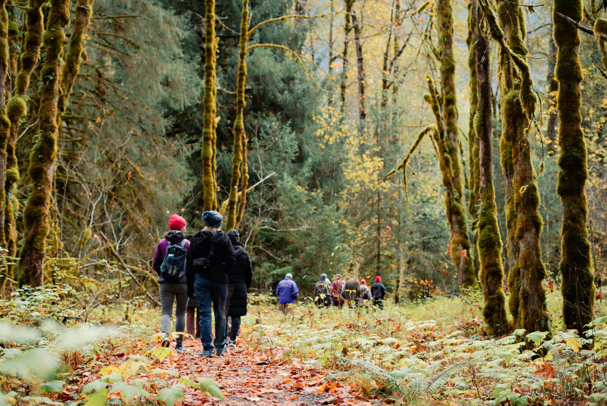 Hikers participating in Shared Outdoor Adventures for Resilience (SOAR), a hiking program for people living with early-onset Alzheimer's.