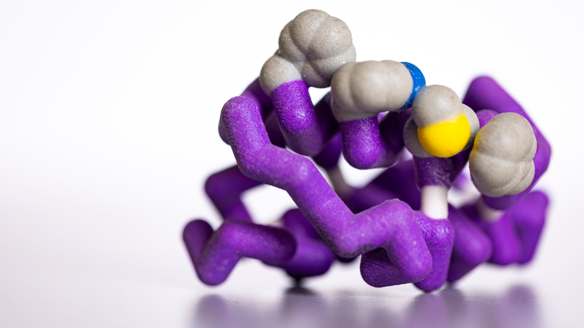 Model of a protein designed at the Institute for Protein Design.