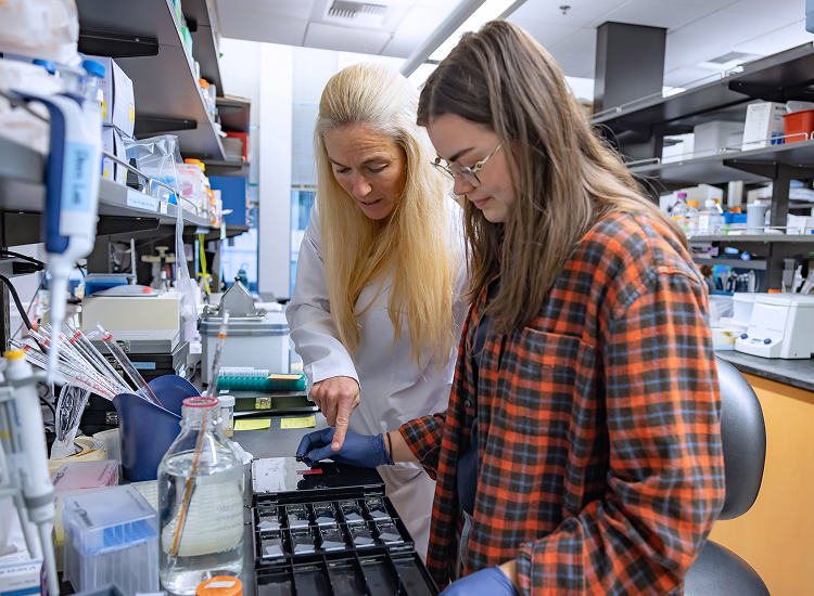 Jen Davis and a fellow researcher in the lab at ISCRM.